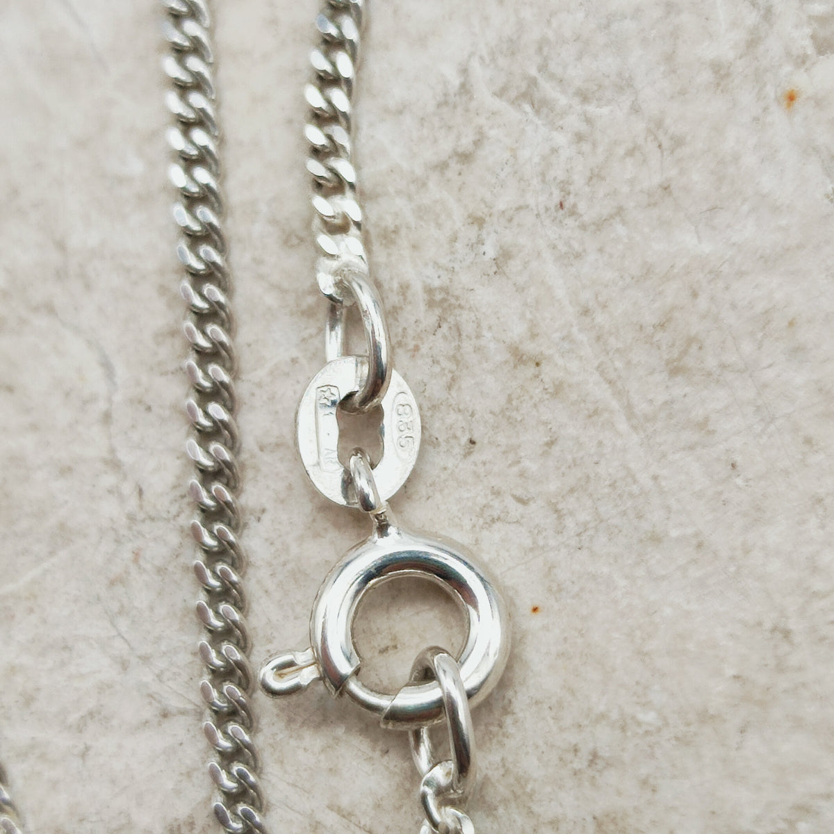 Antique Art Nouveau 800 Silver Locket with Hazel Catkins